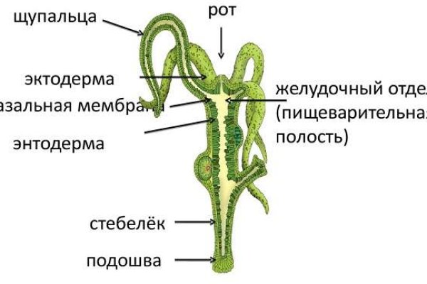 Ссылка на омг onion omgomgomgmplace com